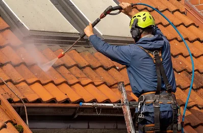 Démoussage et hydrofuge de toiture à Grenier-Montgon